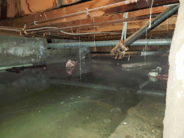 Best Sewage cleanup and water damage restoration  in Lutherville, MD