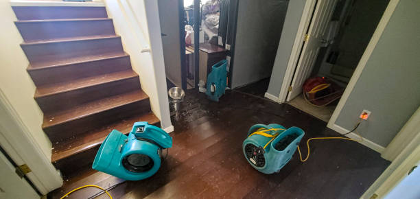 Best Flood restoration services  in Lutherville, MD