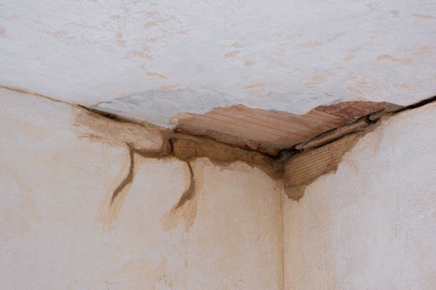 Best Carpet water damage restoration  in Lutherville, MD