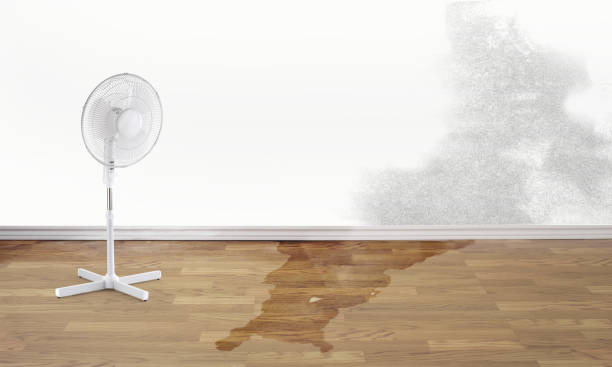 Best Flood damage cleanup  in Lutherville, MD