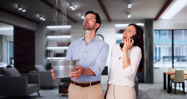 Best Ceiling water damage repair  in Lutherville, MD